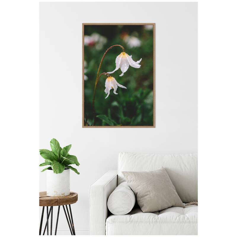 Kate and Laurel Sylvie Delicate White Floral Petals Framed Canvas by Patricia Hasz of Patricia Rae Photography