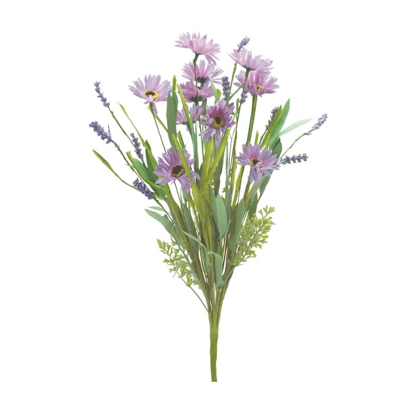 Mixed Daisy Bush (Set of 6)