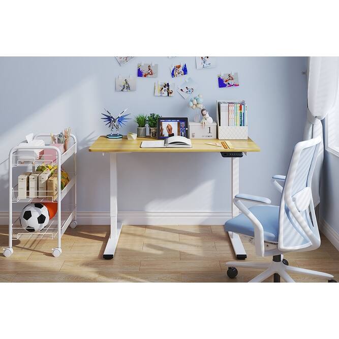 Electric Standing Desk, Dual Motor Adjustable 48x24 Home Workstation - White+Natural