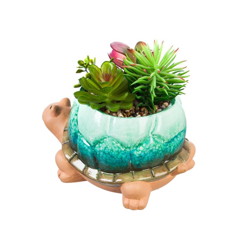 Ceramic Turtle Planter with Succulent
