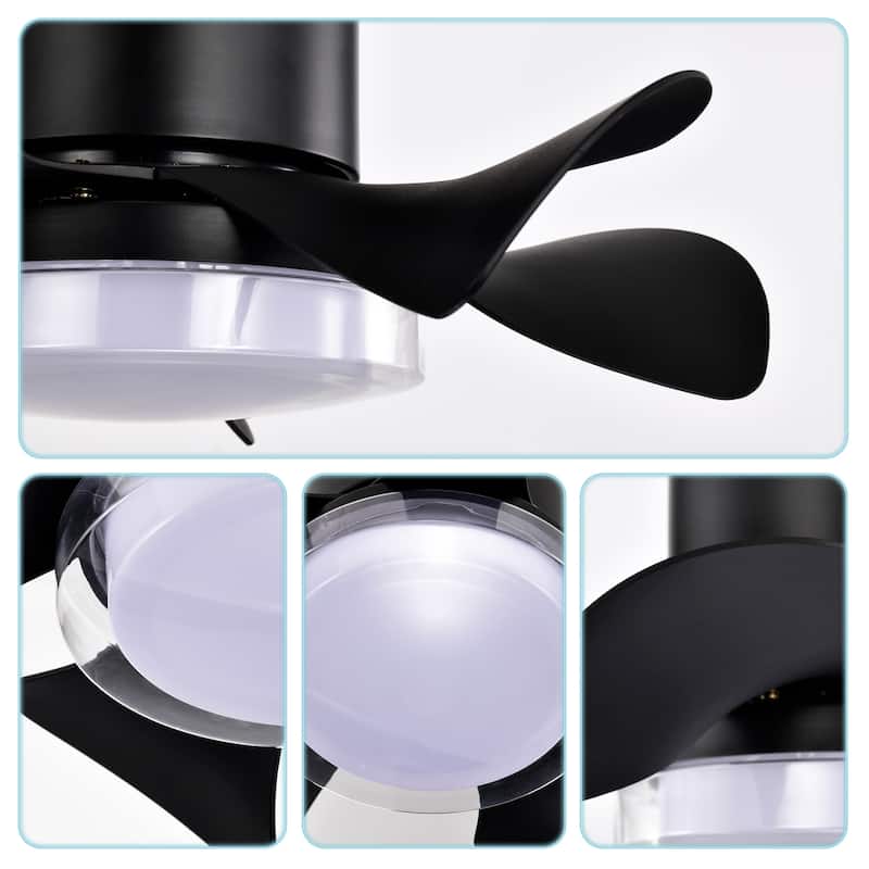 21 inch Flush Mount Ceiling Fan with Light and Remote Control, 6 Speed Reversible DC Motor, LED Ceiling Fan Lighting