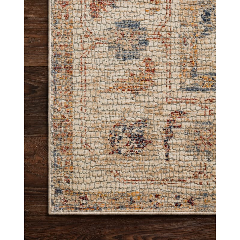 Alexander Home Distressed Persian Rustic French Country Mosaic Area Rug