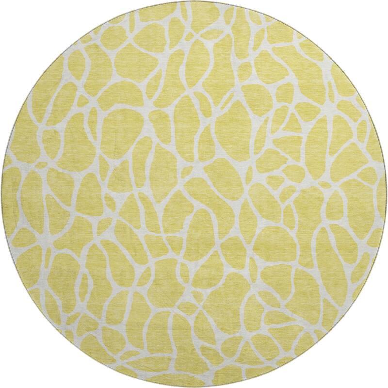 Premium Washable Super Soft Contemporary Ellie Mayfield Rug