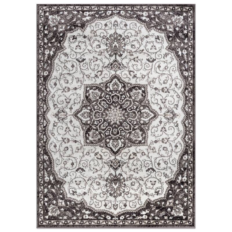 Traditional Medallion Area Rug