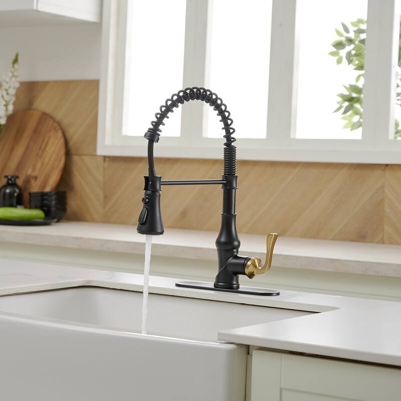 WIZ Single-Handle Pull-Down Sprayer 3 Spray High Arc Kitchen Faucet