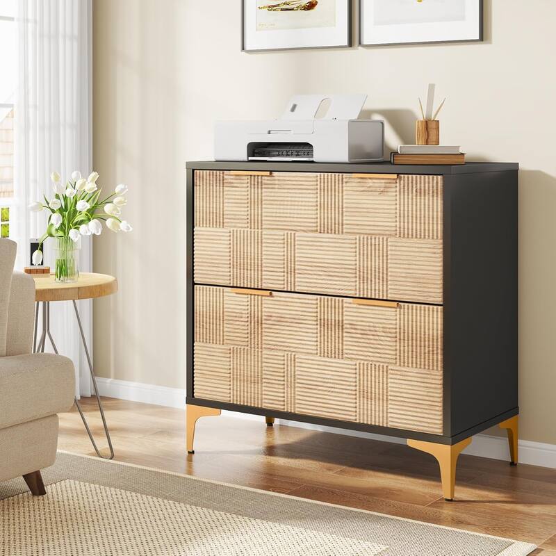 File Cabinet with 2 Drawers, Lateral Filing Cabinet with Adjustable Hanging Bar