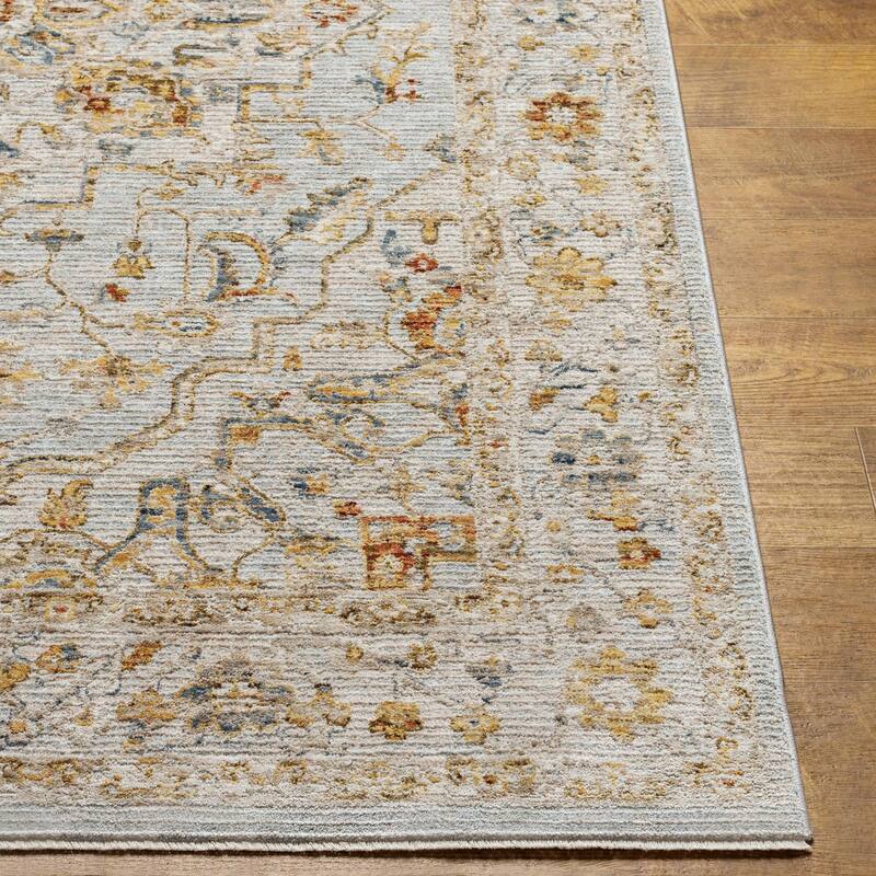 Tereza Updated Traditional Medallion Area Rug