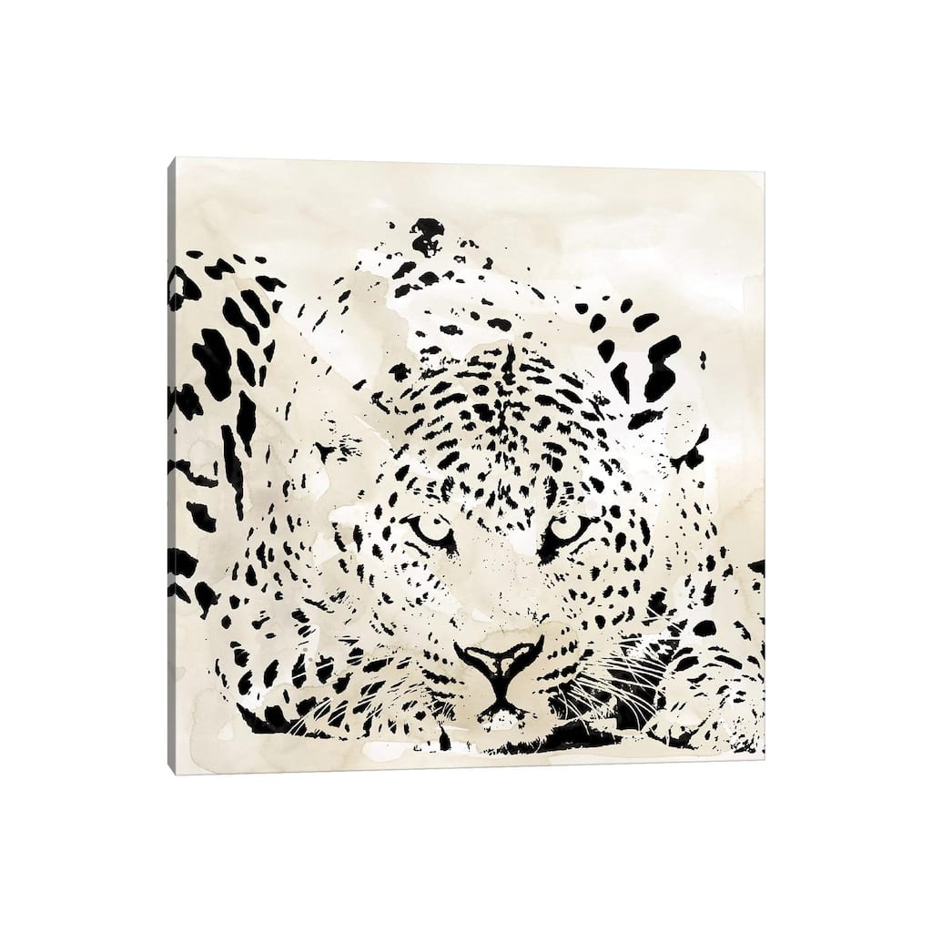iCanvas "Leopard Spot III" by Carol Robinson Canvas Print