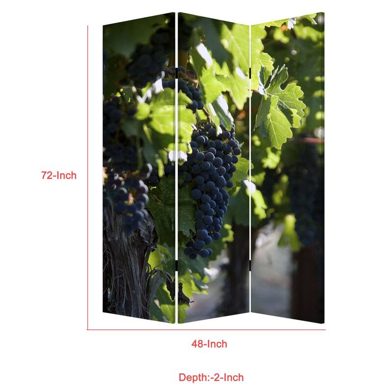 Grape Vine Print Foldable Canvas Screen with 3 Panels, Multicolor