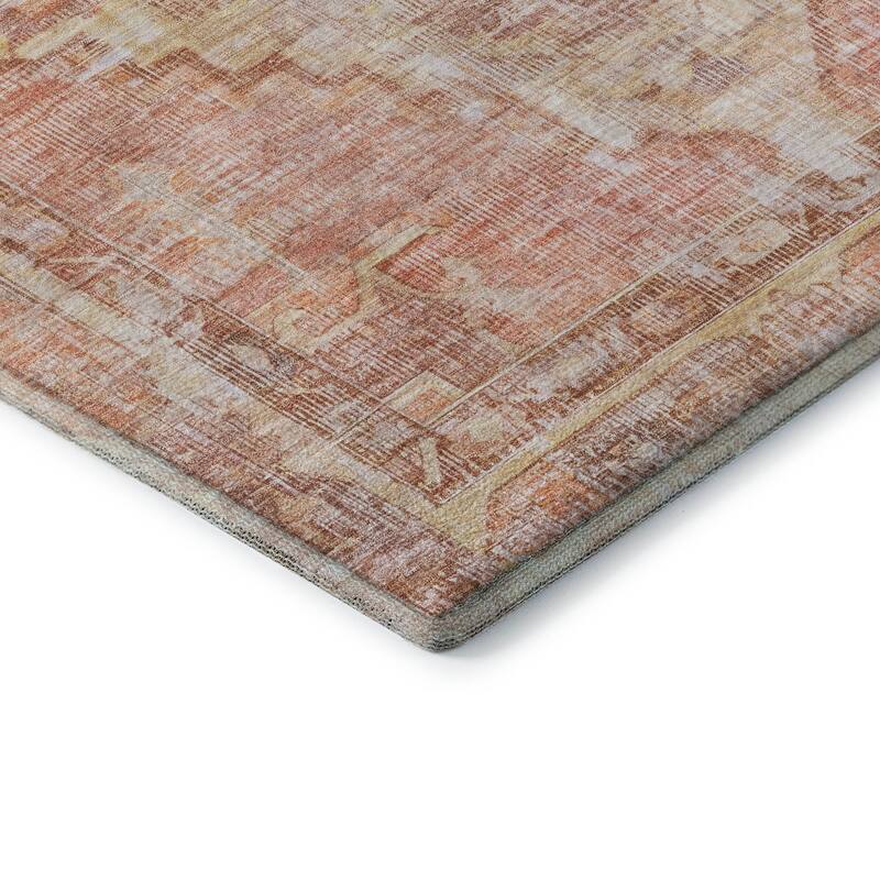 Premium Washable Super Soft Vintage Traditional Mayfield Rug
