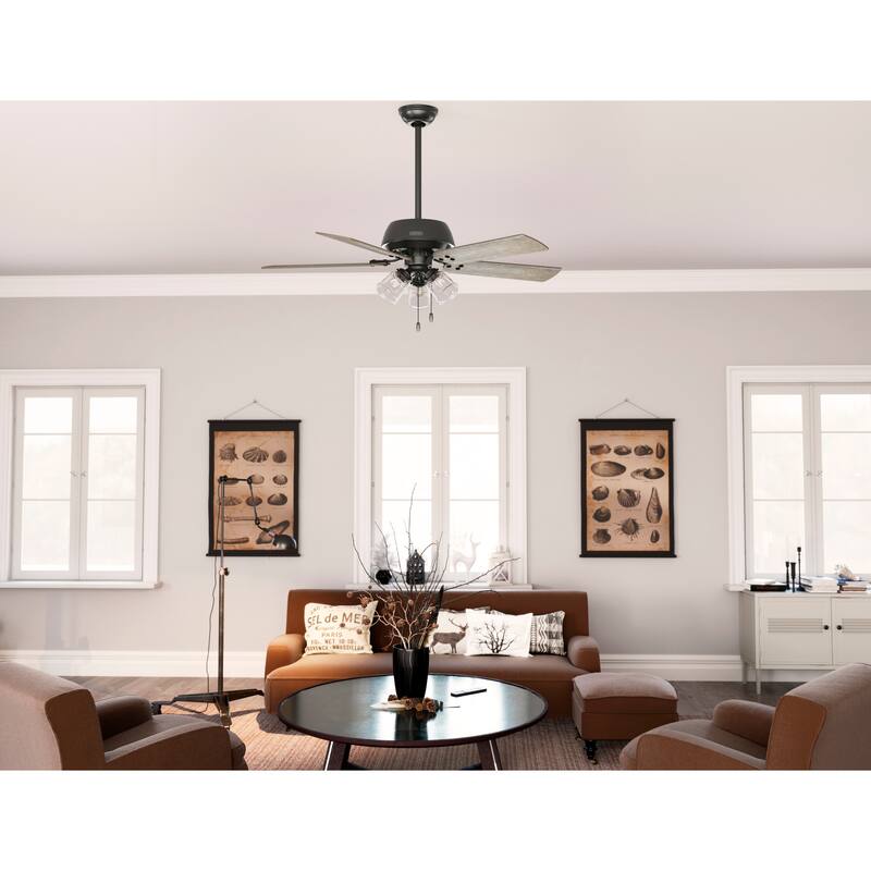Hunter 52" Shady Grove Ceiling Fan with LED Light Kit/ Pull Chain, Standard or Flush Mount - Casual, Transitional