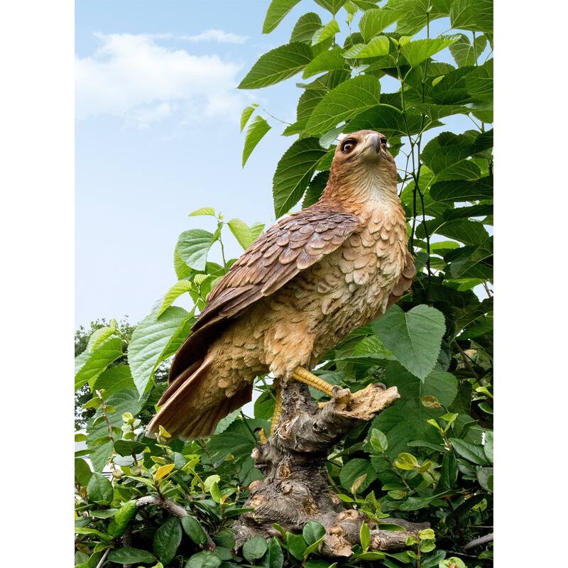 17.5" Brown Wild Hawk on Branch Outdoor Garden Statue