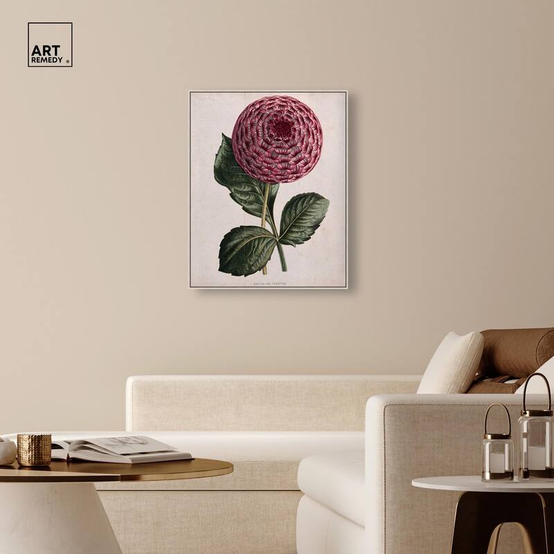 A dahlia Canvas by Art Remedy