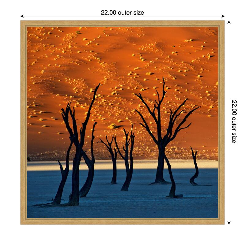 The Old Marsh by Sossusvlei Namibia Framed Canvas Wall Art Print - 22 x 22 in