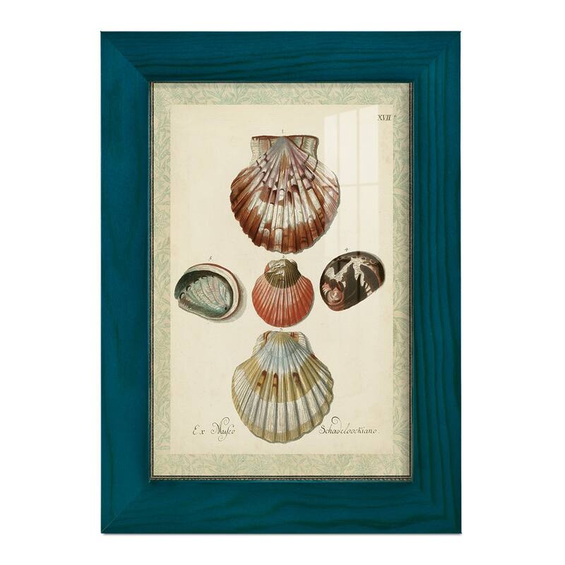 Bookplate Shells III -Framed Print w/glass-Cherry Red