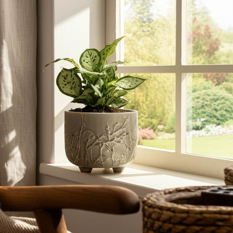 Ceramic Stoneware Planter with Raised Botanical Texture Footed Base