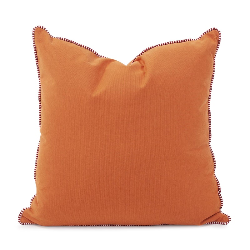 Allan Andrews Indoor/Outdoor 24" Square Accent Pillow with Cover, Seascape Collection