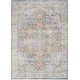 preview thumbnail 16 of 88, Nourison Astra Machine Washable Distressed Area Rug 5' 3" x 7' - Denim/Multi