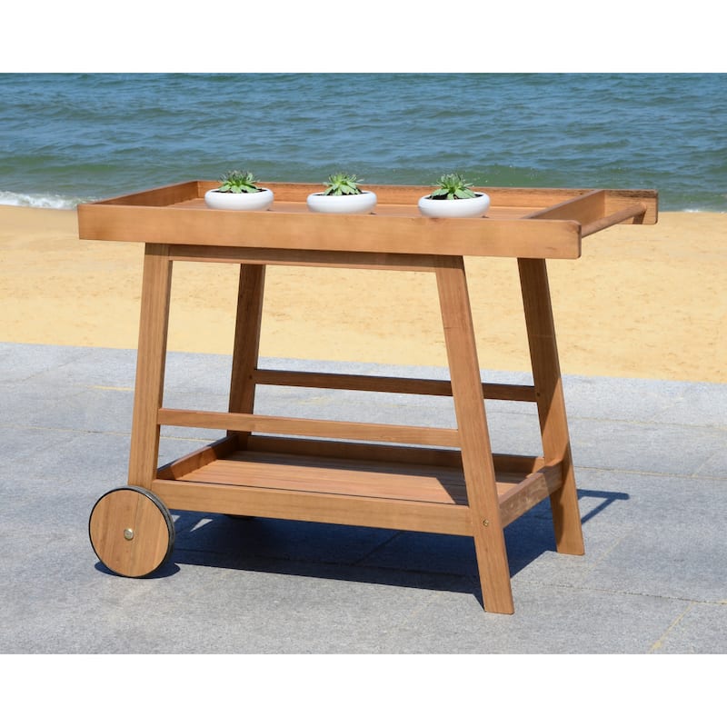 SAFAVIEH Outdoor Hayleigh Bar Cart - 48Wx20Dx32H - Brown