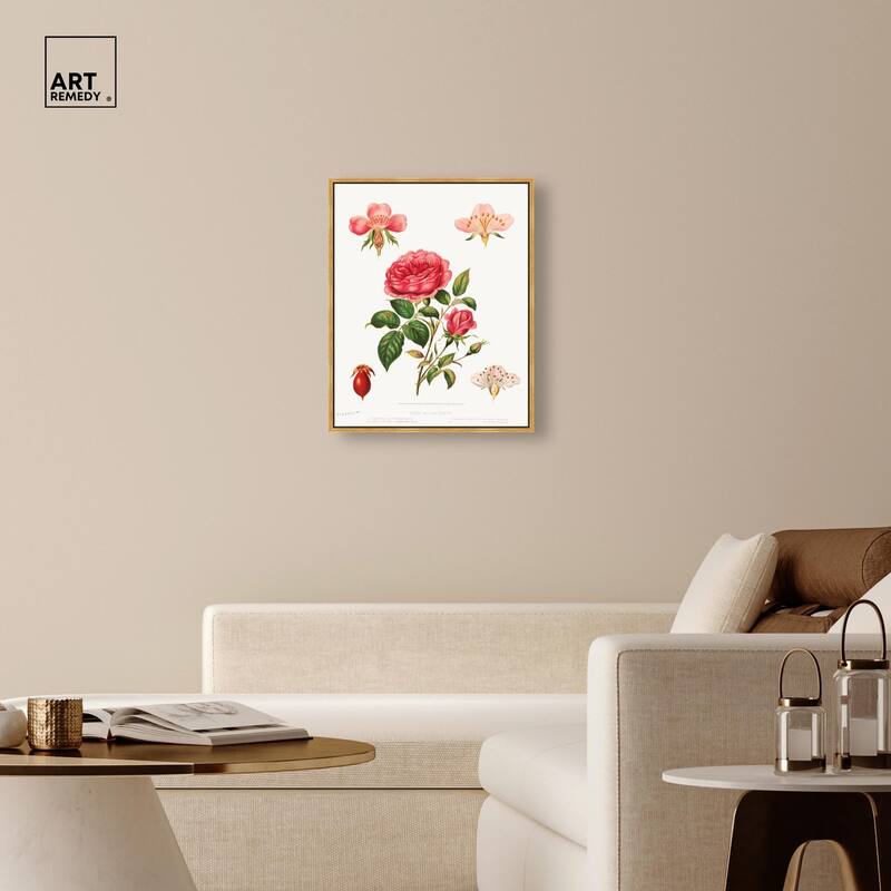 Rose and its parts (1872) Canvas by Art Remedy