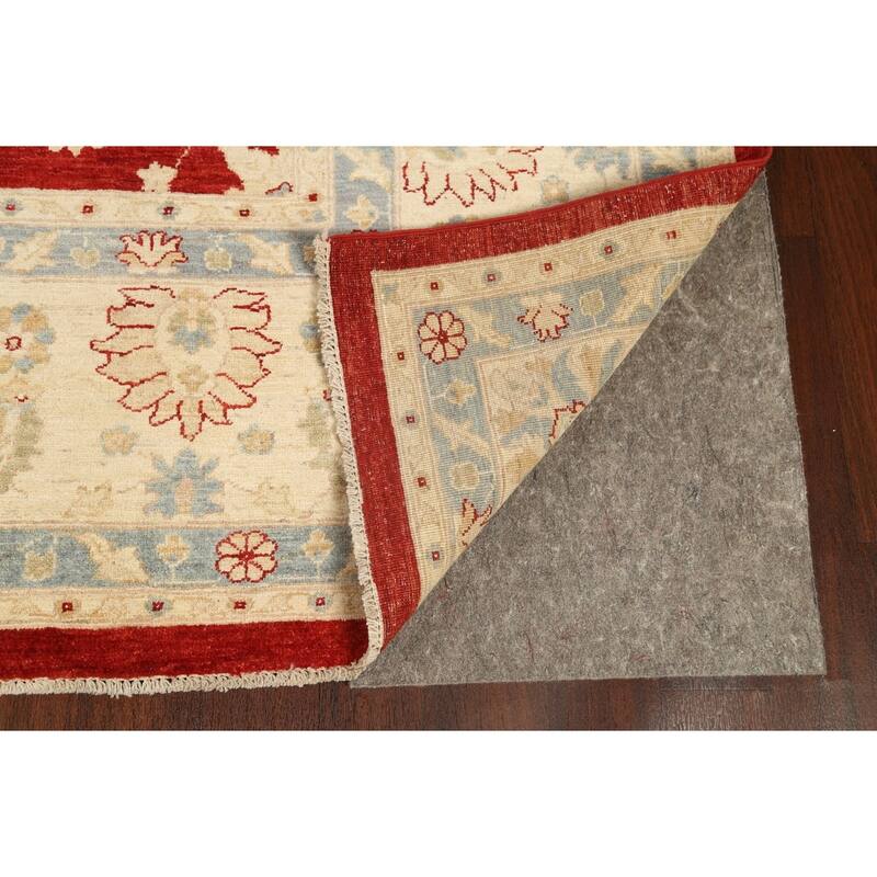 Vegetable Dye Floral Ziegler Oriental Wool Area Rug Handmade Carpet - 10'1" x 13'8"