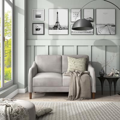 DH BASIC Modern 52-inch Velvet Upholstered Loveseat with Cushions