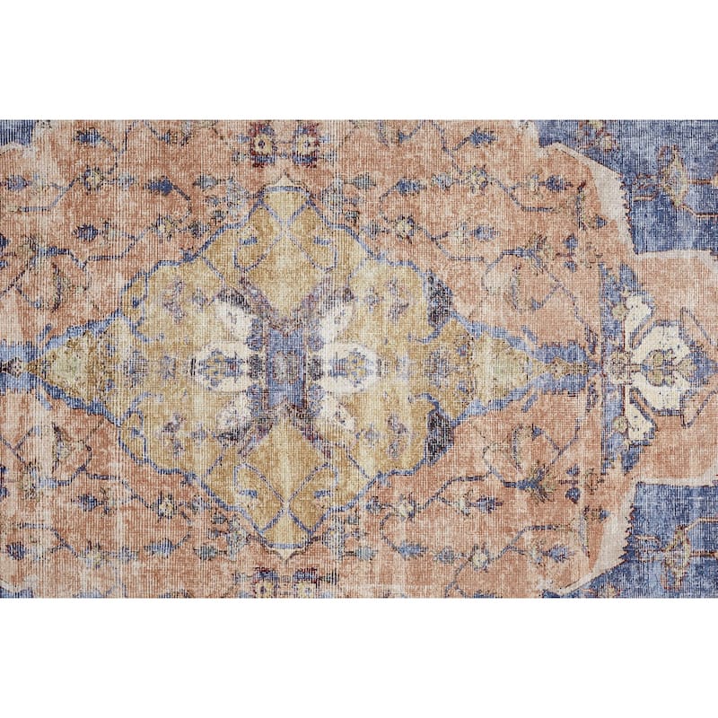 Prescott R39AP Medallion Transitional Area Rug