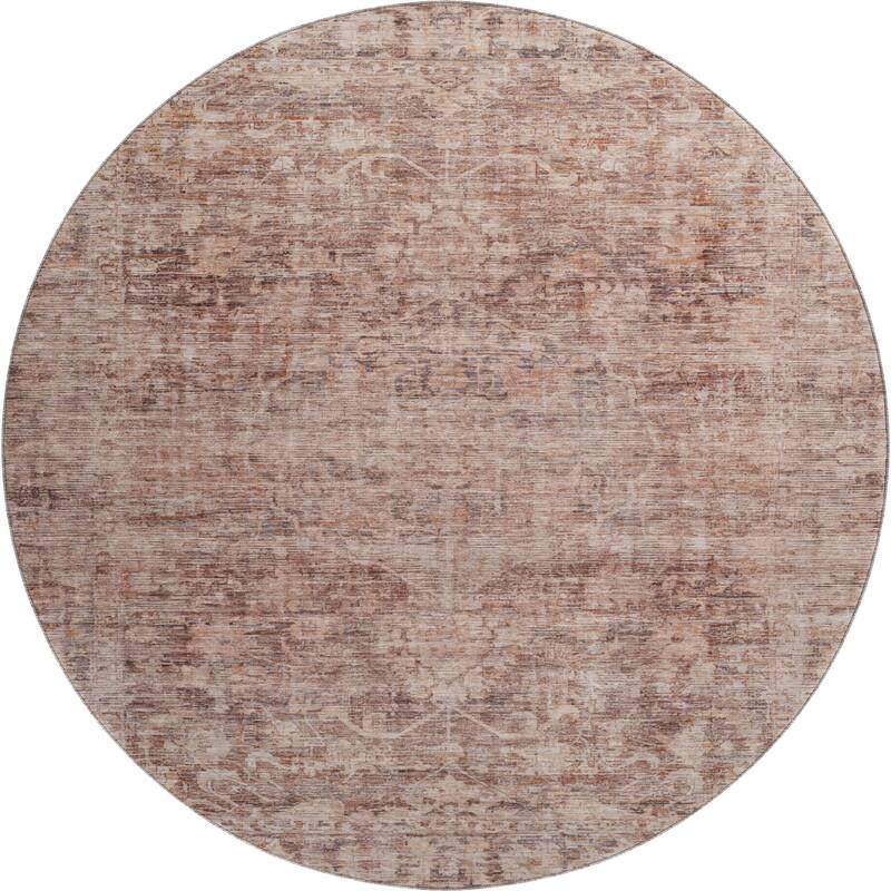 Premium Washable Super Soft Vintage Traditional Mayfield Rug
