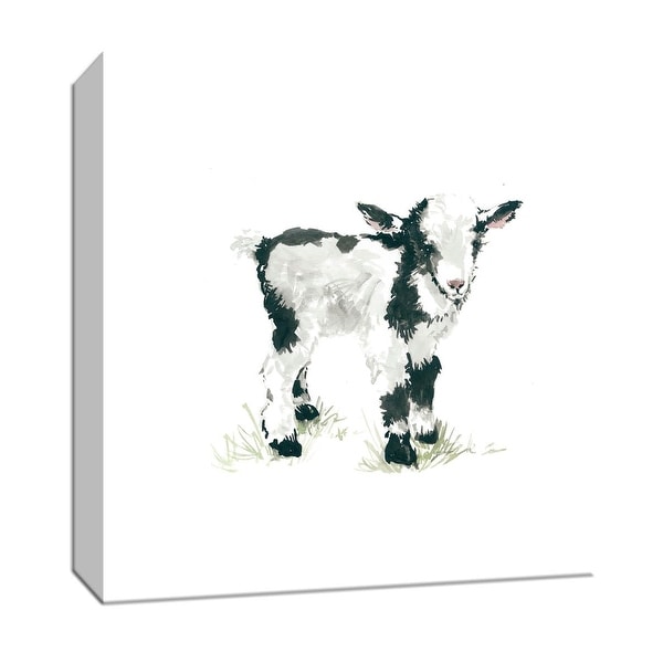PTM Images 9-147432 PTM Canvas Collection 12" x 12" - "Baby Goat" Giclee Farm Animals Art Print on Canvas
