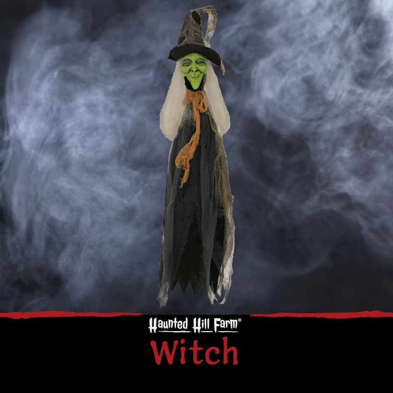 Haunted Hill Farm 2.5-ft. Staked Witch, Indoor/Covered Outdoor Halloween Decoration, LED Red Eyes, Battery-Operated