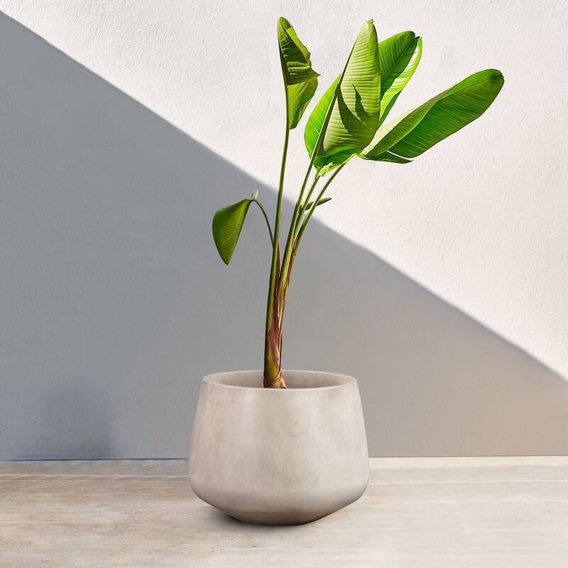 Amethyst Modern Lightweight Concrete Indoor or Outdoor Planter - Medium - White