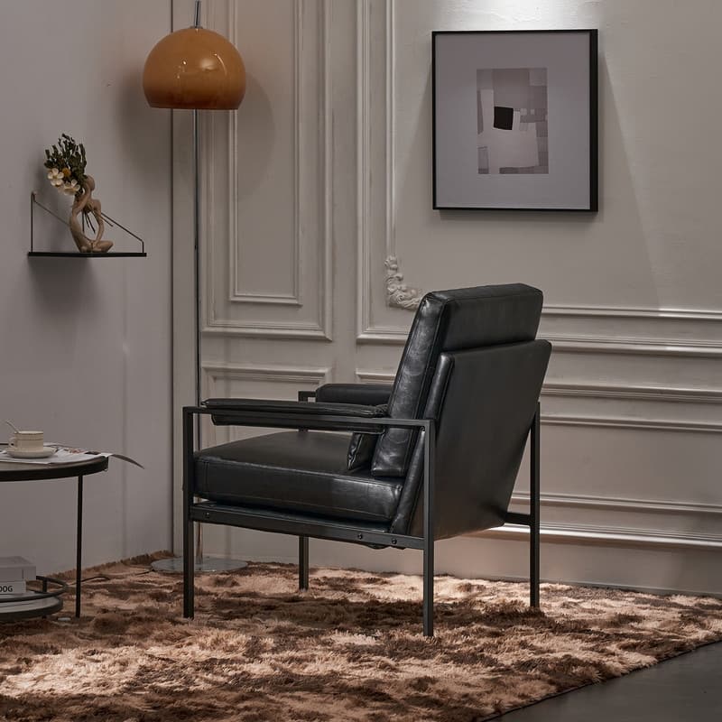 Modern Single Iron Frame Leisure Chair