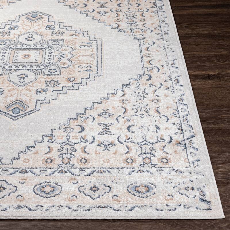 Livabliss Neal Distressed Persian Medallion Area Rug