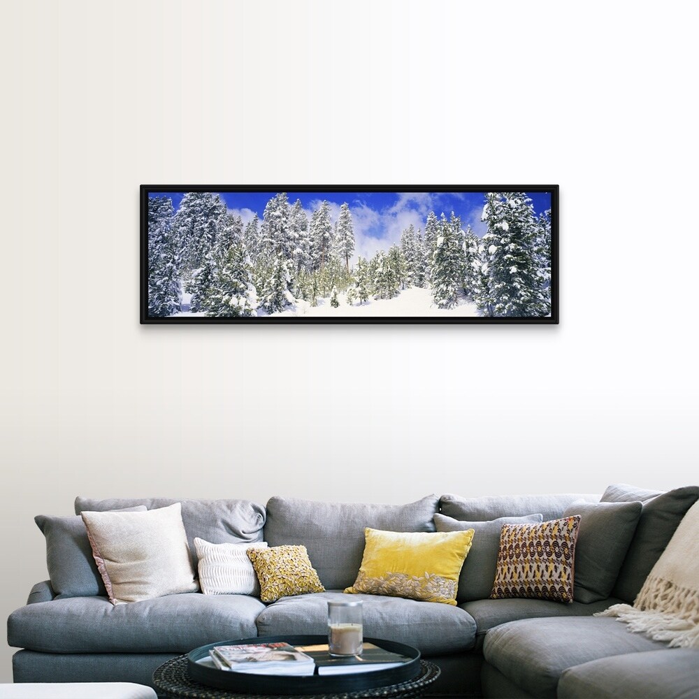 Shop Pine Trees On A Snow Covered Hill Breckenridge Summit