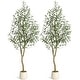 preview thumbnail 15 of 22, Artificial Olive Tree, Faux Silk Plant with White Planter, Natural Trunk & Fruits for Home or Office Decor, 1 Pack 6FT(2pcs)