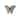 Cirque Butterfly Wall Decor - SM