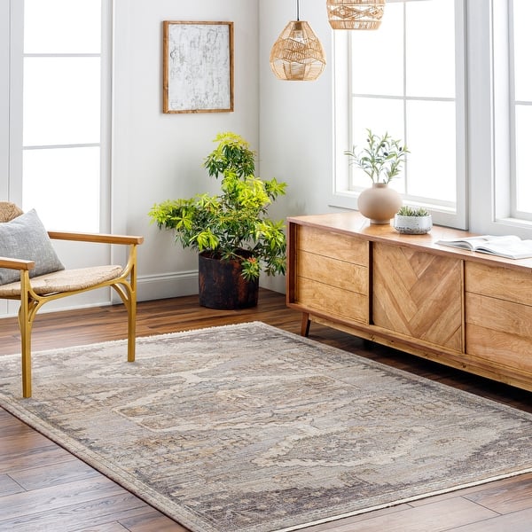 slide 2 of 9, Selina Traditional Area Rug 2' 7" x 4' 11" - Rectangle