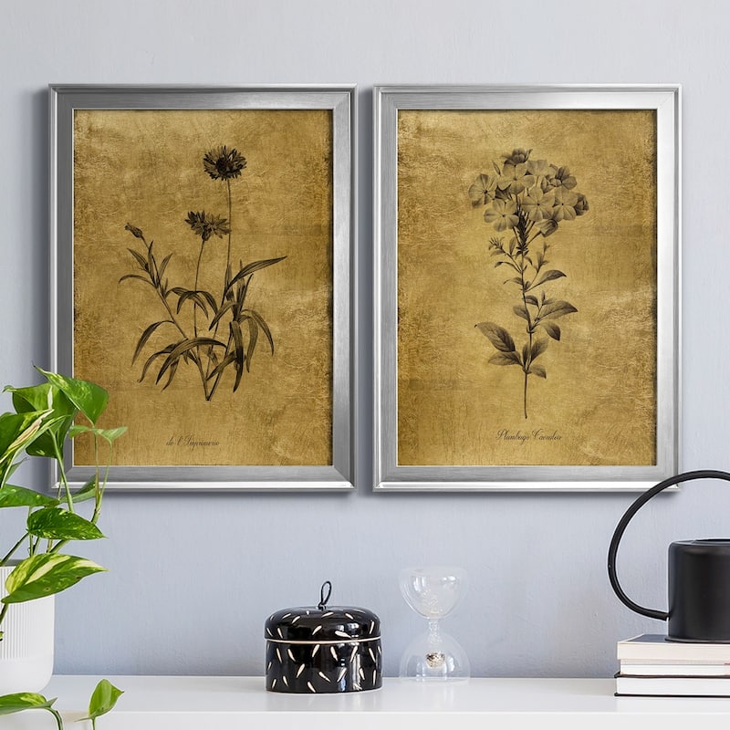 Gold Sketch Botanical I Premium Framed Print - Ready to Hang - Multi-Color