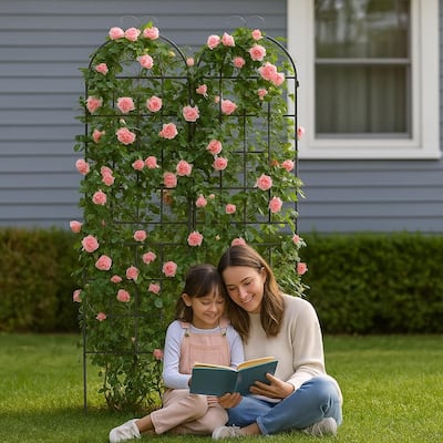 Metal Garden Trellis, 2 Pack Metal Trellis for Climbing Plants, Indoor/Outdoor Plant Trellis, Lawn Garden Fence Decor Screen