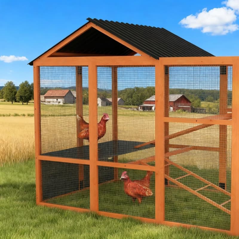 Wooden Chicken Coop for 6-10 Chickens