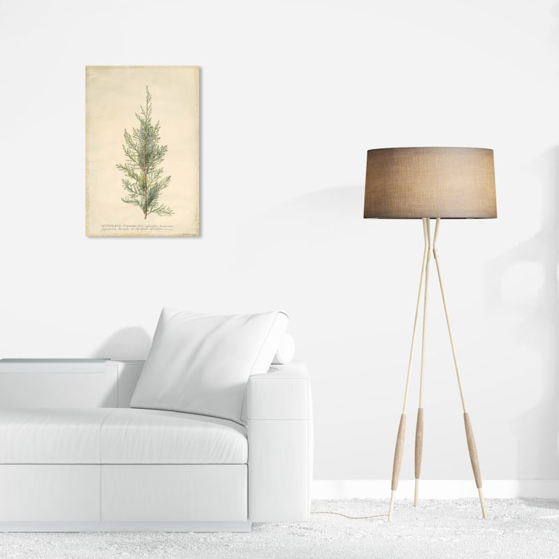 Wynwood Studio Canvas Floral and Botanical Juniper Green and Dark Green Traditional Wall Art Canvas Print - 16 x 24