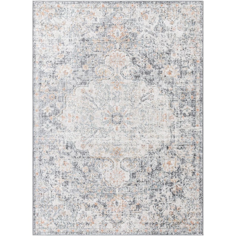 Livabliss Caressa Vintage Boho Area Rug
