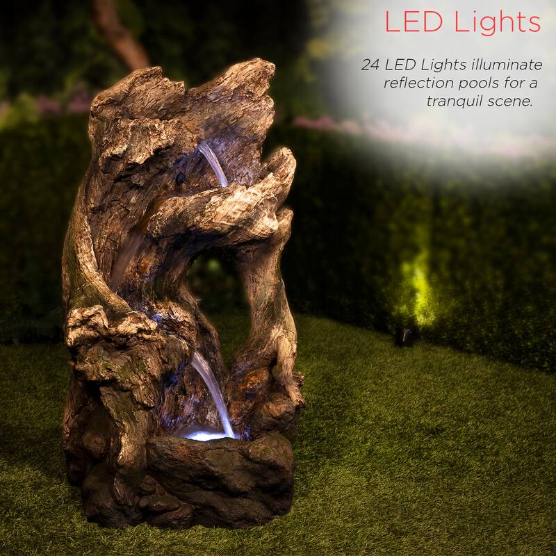 Curved Log Rainforest w/ LED light