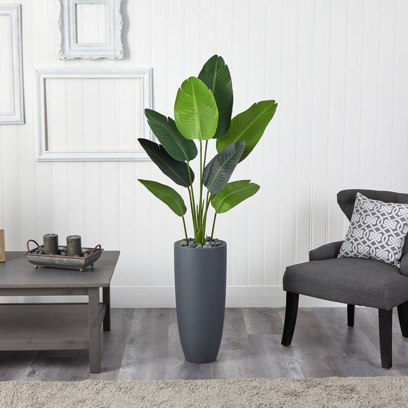 5.5' Traveler's Palm Artificial Tree in Gray Planter - Green - h: 5.5 ft. w: 28 in. d: 22 in