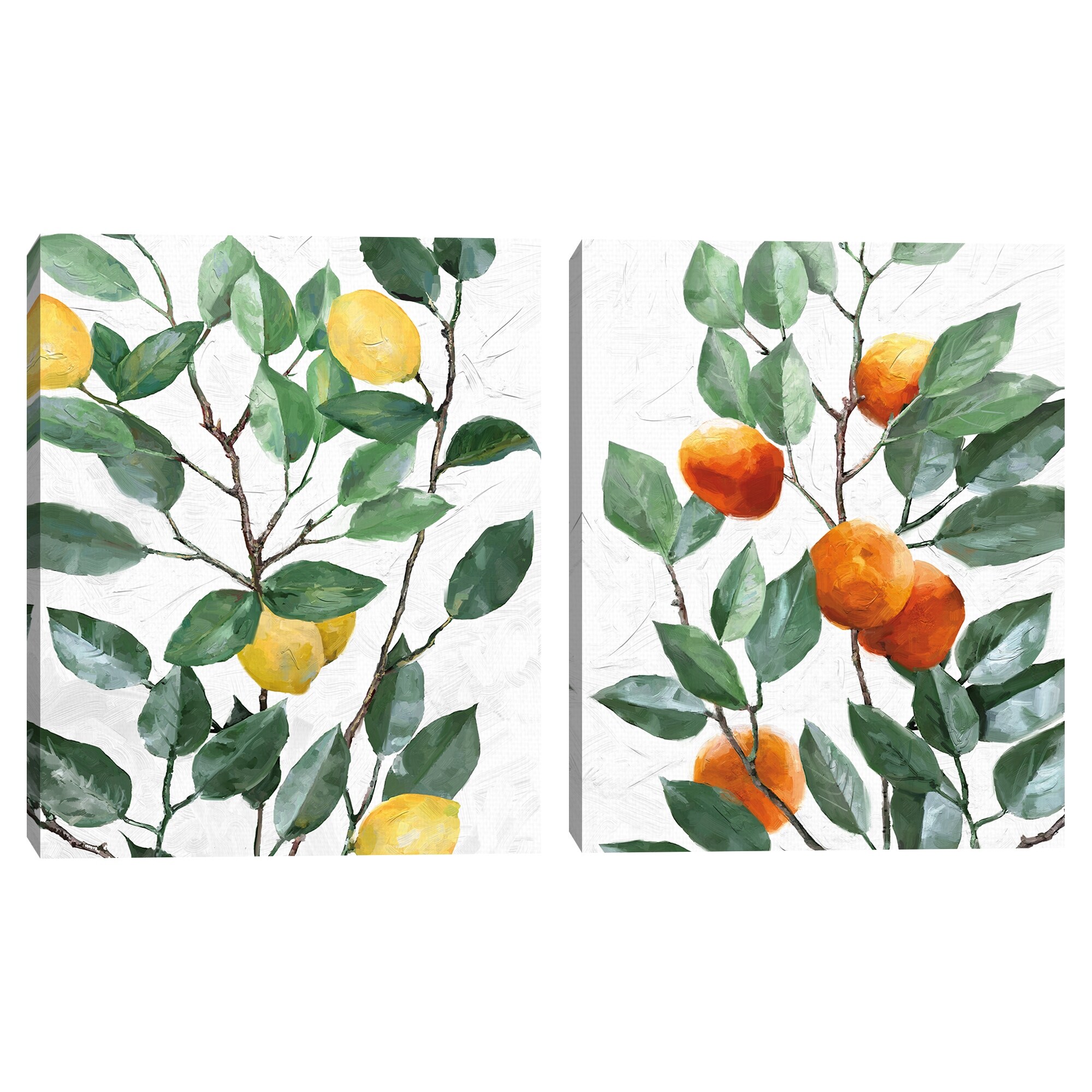 https://ak1.ostkcdn.com/images/products/is/images/direct/cc028c4607b8b7ecb135c9ab407e6cd15eb1a1e8/Lemon-%26-Tangerine-Tree-by-Studio-Arts-Set-of-2-Canvas-Art-Prints.jpg