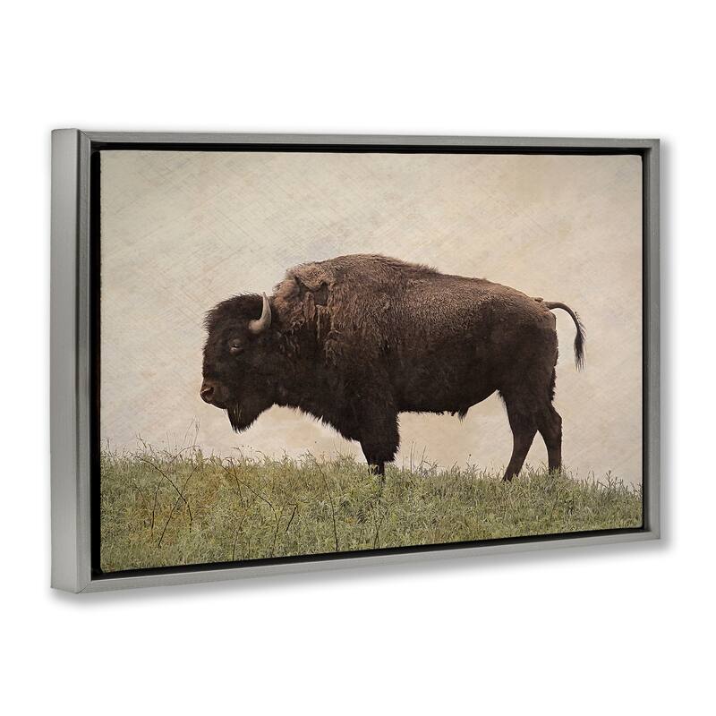 Stupell Serene Buffalo on Country Hill Framed Floater Canvas Wall Art Design By Steve Toole