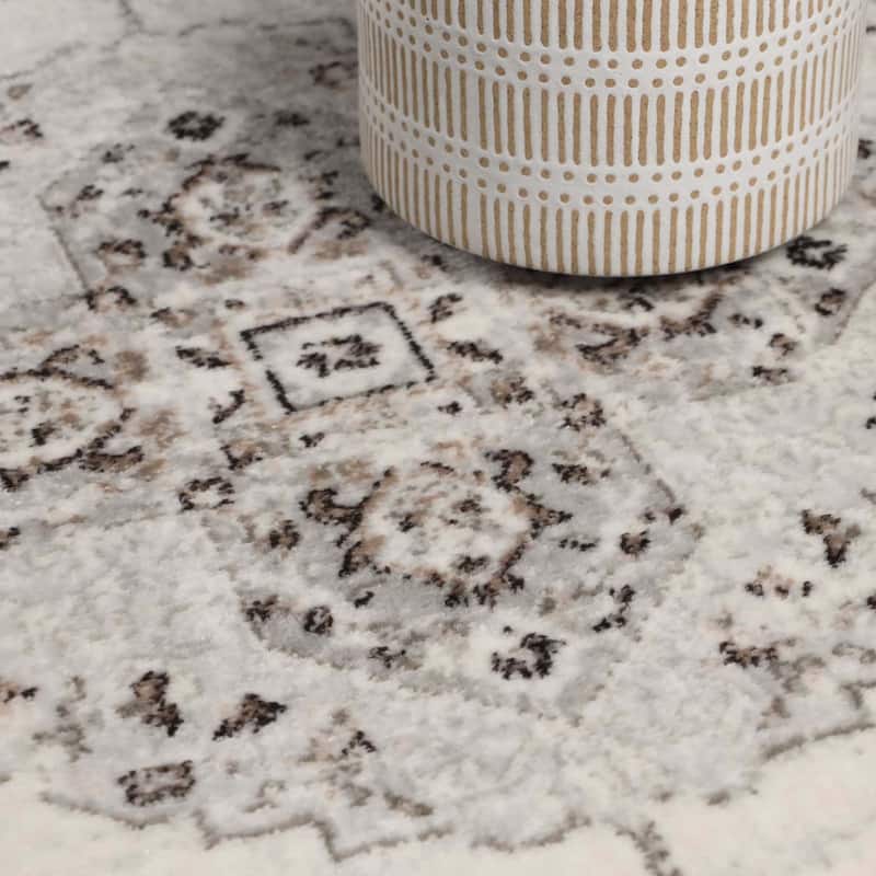 Superior Demelza Traditional Oriental Medallion Indoor Runner or Area Rug