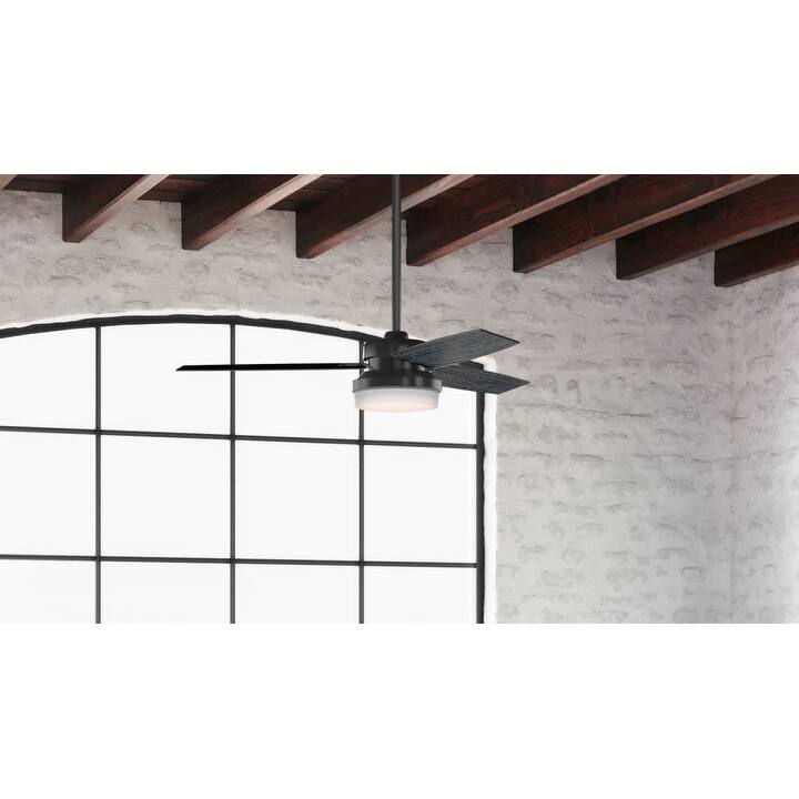 Hunter Fan Sentinel Brushed Nickel 52-inch Ceiling Fan with 3 Reversible Blades - Silver - Matte Black