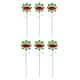 Option 6-Piece Chomper