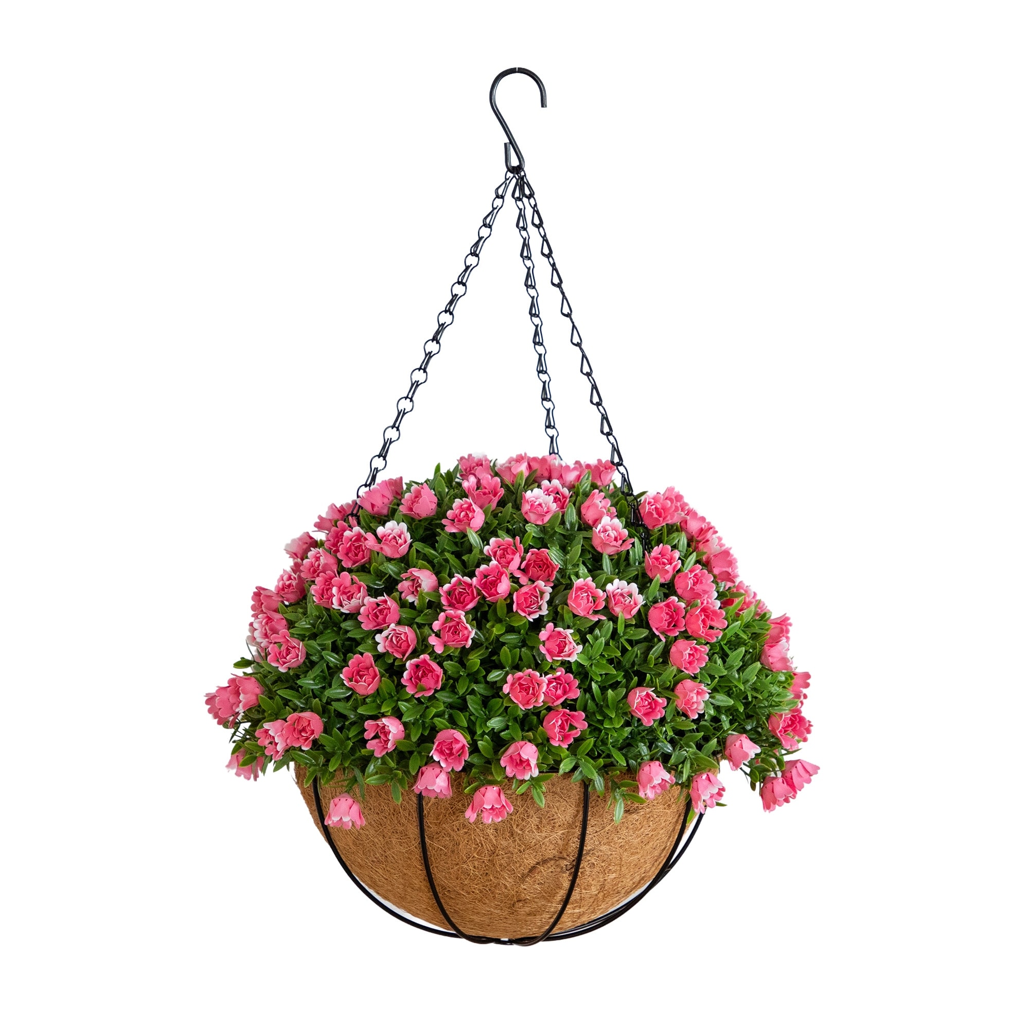 19-in UV Resistant Mini Rose and Aptenia Hanging Basket